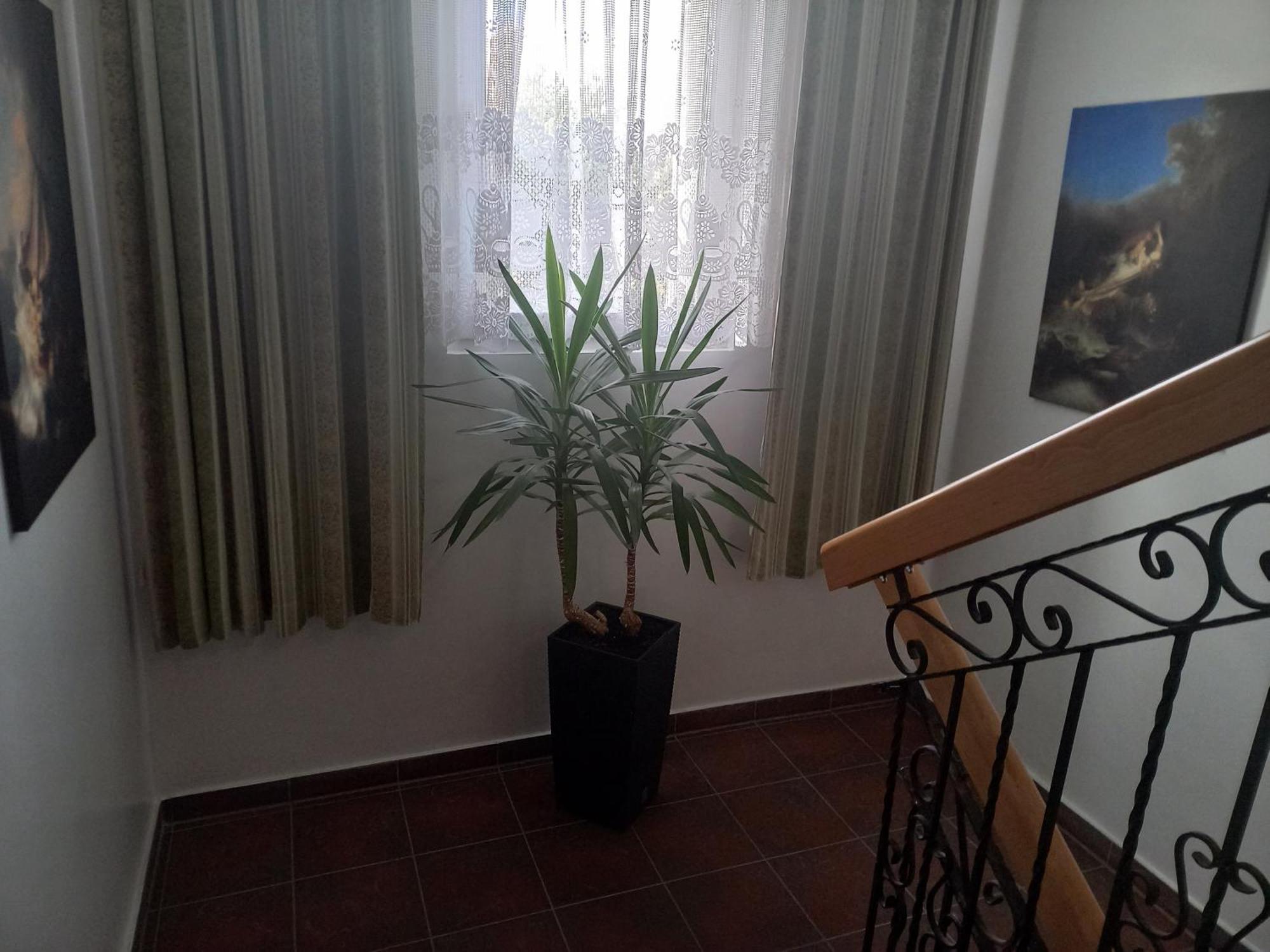 Aparthotel Korona Przy Termach Cieplickich 10Proc Rabatu Do Term Jelenia Góra Exterior foto